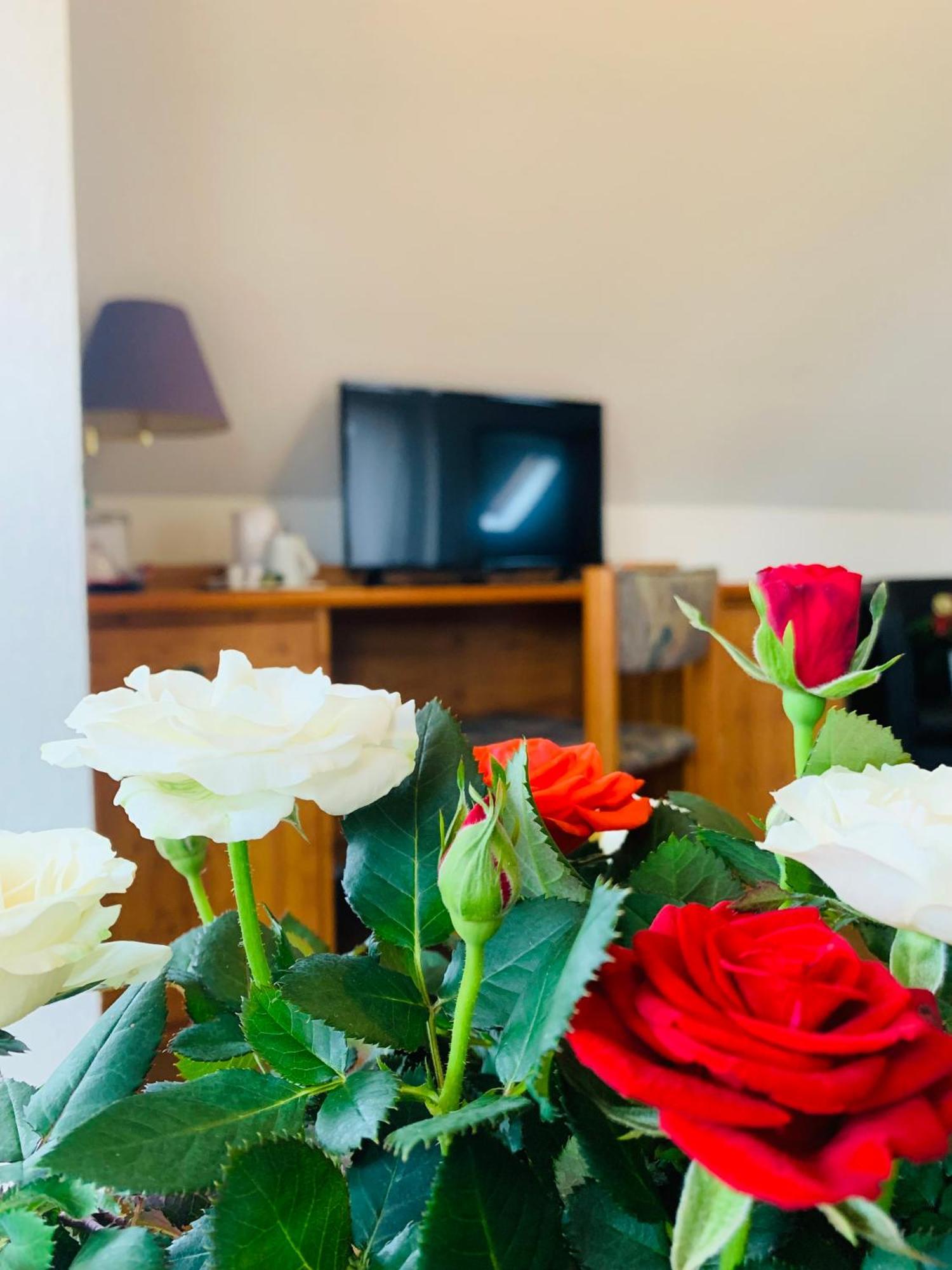 Hotel Garni Rosbach vor der Hohe Ngoại thất bức ảnh